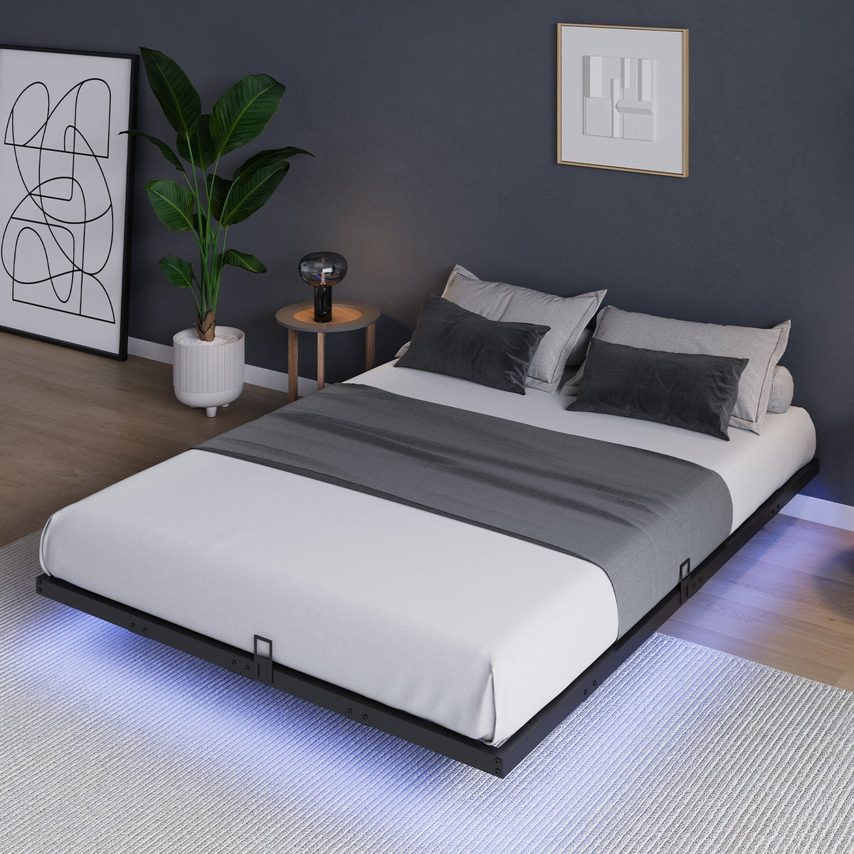 Floating Bed Frame with LED Lights SweetNight