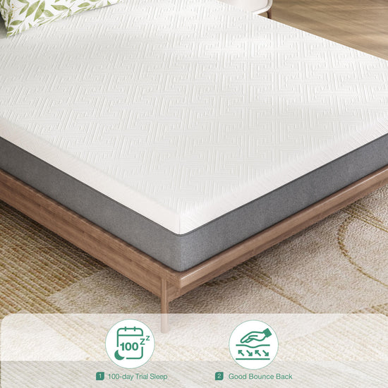 Bliss Comfort Backrest Bundle