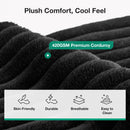 Modular Sofa