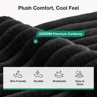 Modular Sofa