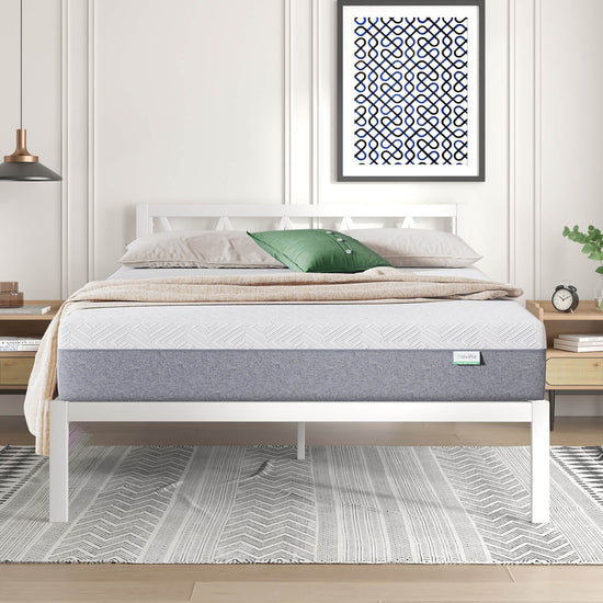 Bliss Comfort Backrest Bundle